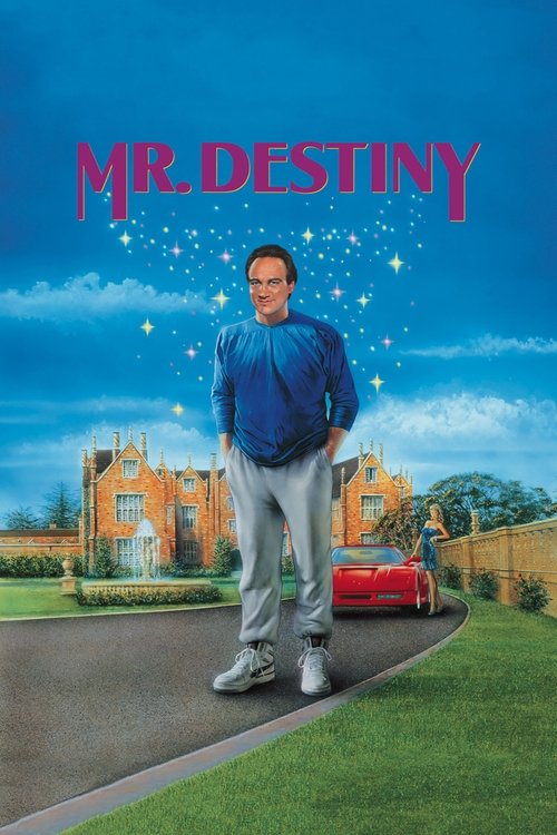 Mr. Destiny (1990) - film poster