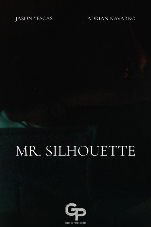 Mr. Silhouette (2026) - film poster