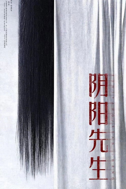 Mr Yin-Yang (2023) - film poster