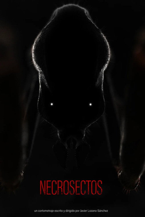 Necrosectos (2026) - film poster