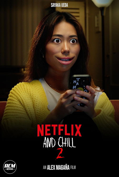 Netflix and Chill 2 (2024) — film poster