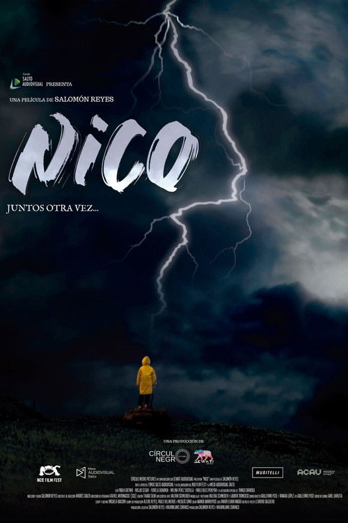 Nico (2025) — film poster