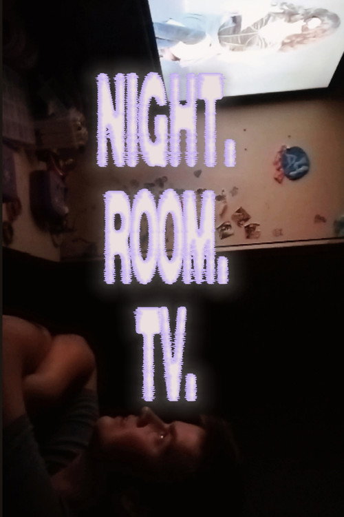 Night. Room. TV. (2026) - film poster