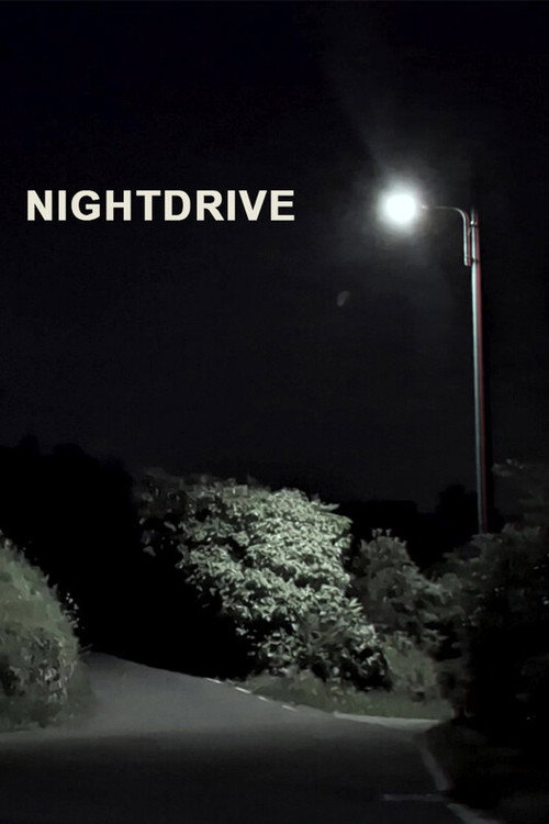 Nightdrive (2026) - film poster