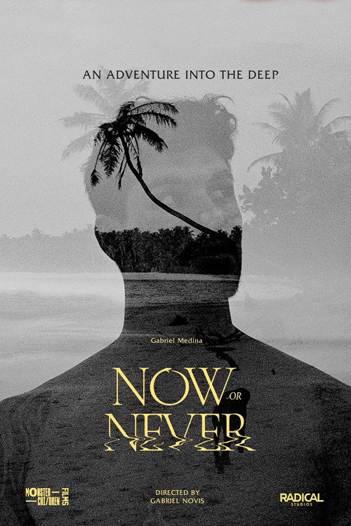 Now or Never (2024) - film poster, directed by Gabriel Novis
