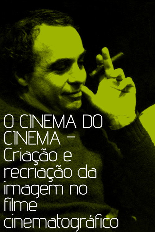 O cinema do cinema – Criação e recriação da imagem no filme cinematográfico