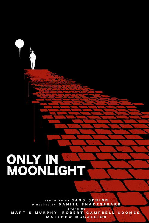 Only in Moonlight (2026) - film poster