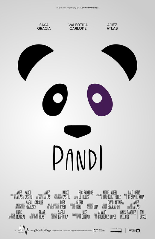 PandI (2021) - film poster, directed by Aniez Atlas