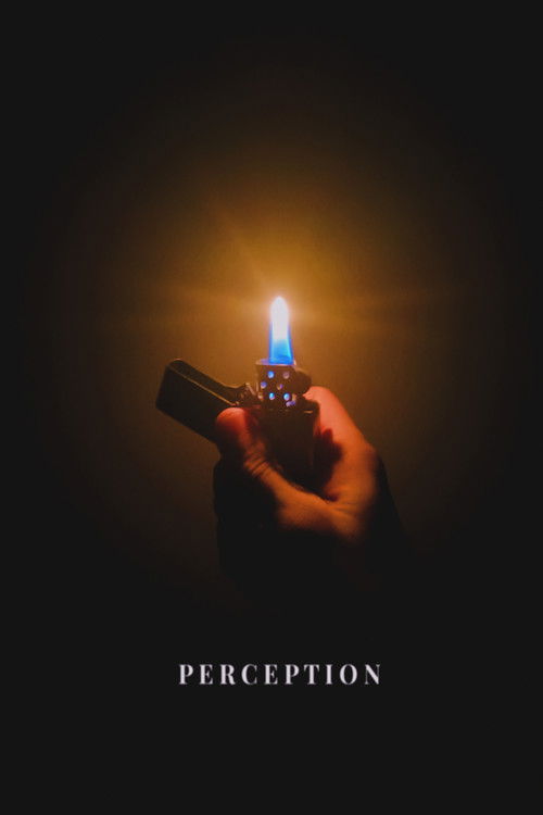 Perception (2026) - film poster