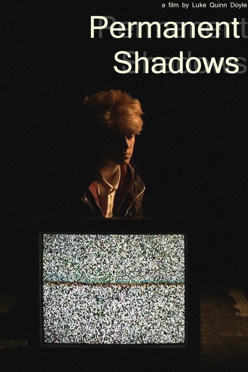 Permanent Shadows (2017) - film poster