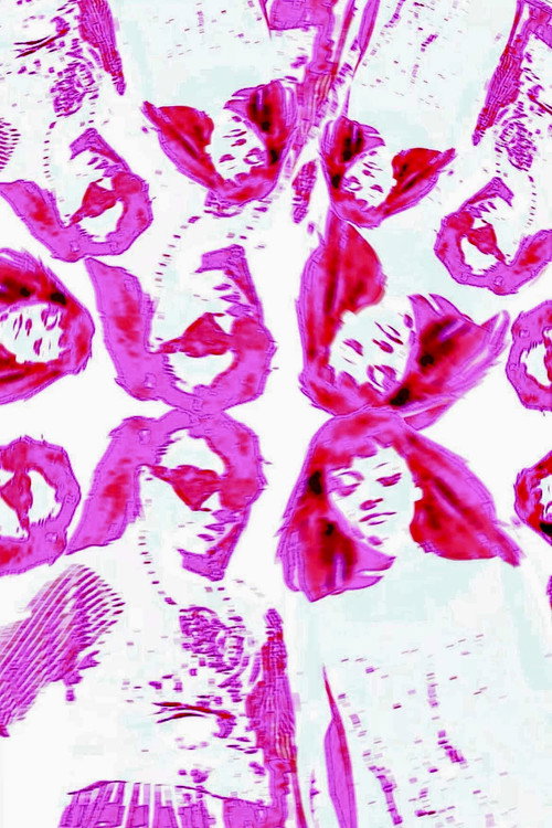 PINK PILLED (2025) - film poster