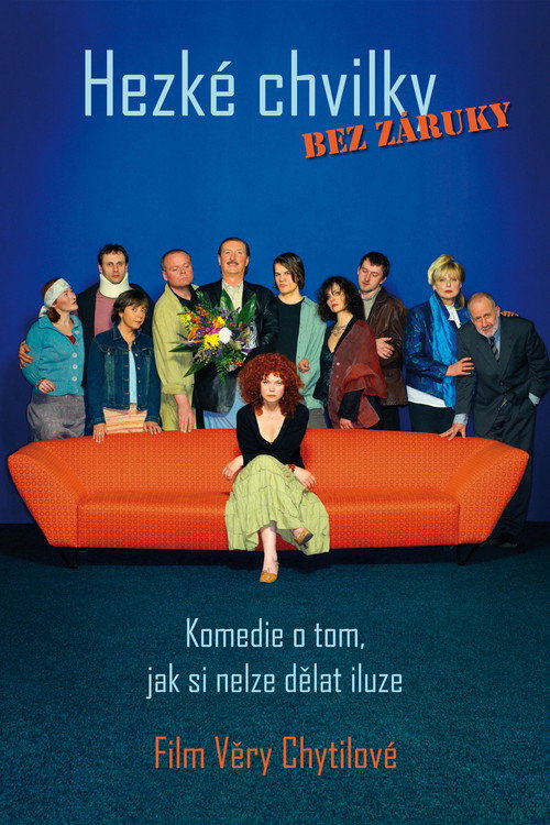 Pleasant Moments (2006) — film poster, directed by Věra Chytilová
