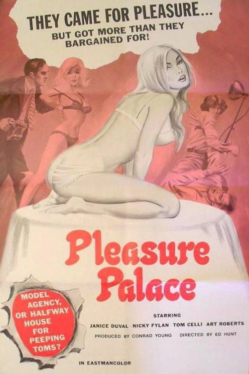 Pleasure Palace (1973) - film poster, directed by Ed Hunt