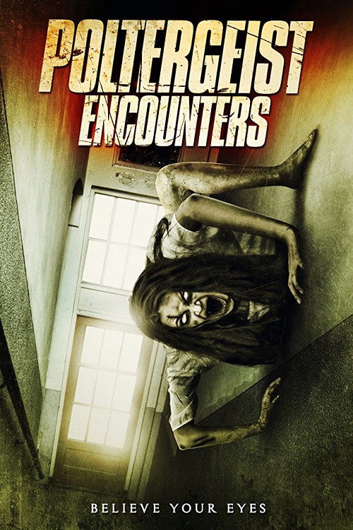 Poltergeist Encounters (2016) - film poster