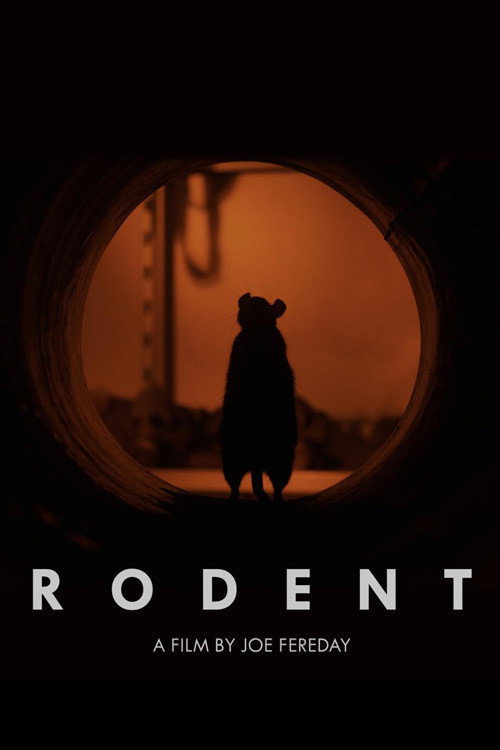 Rodent (2024) - film poster, directed by Joe Fereday