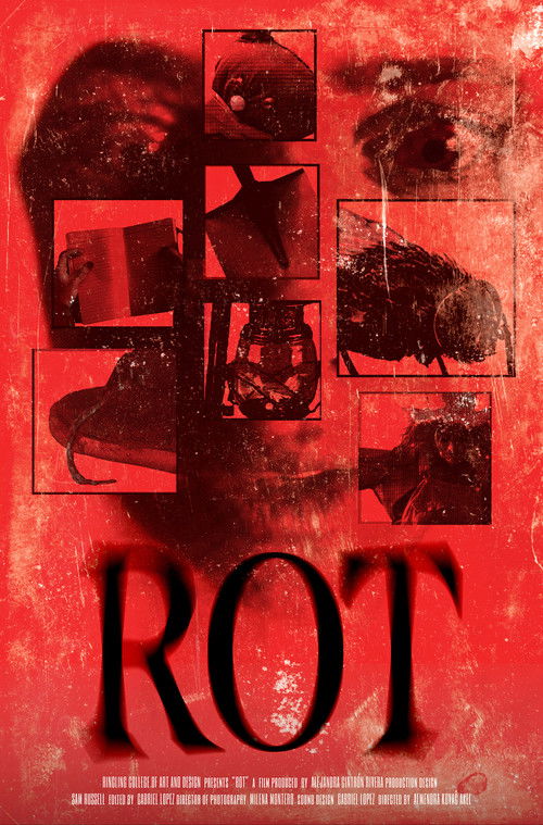 ROT (2024) - film poster