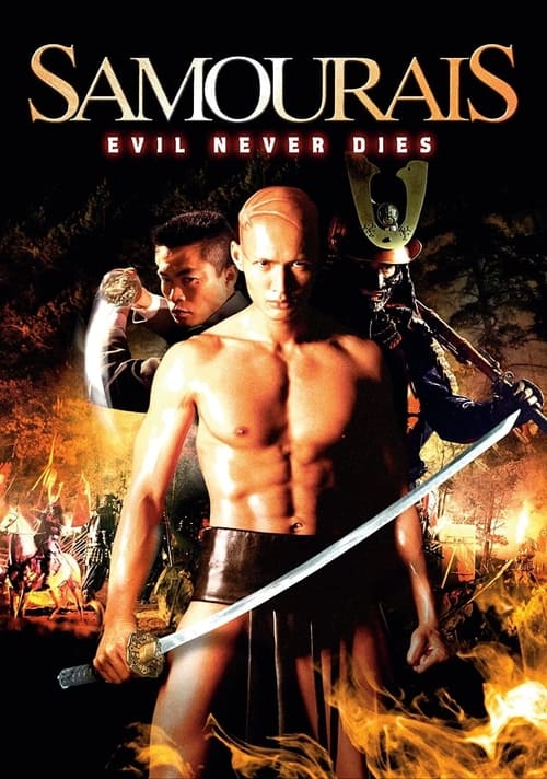 Samouraïs (2002) - film poster