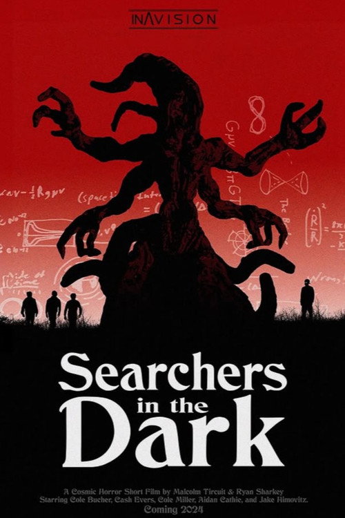 Searchers in the Dark (2024) - film poster