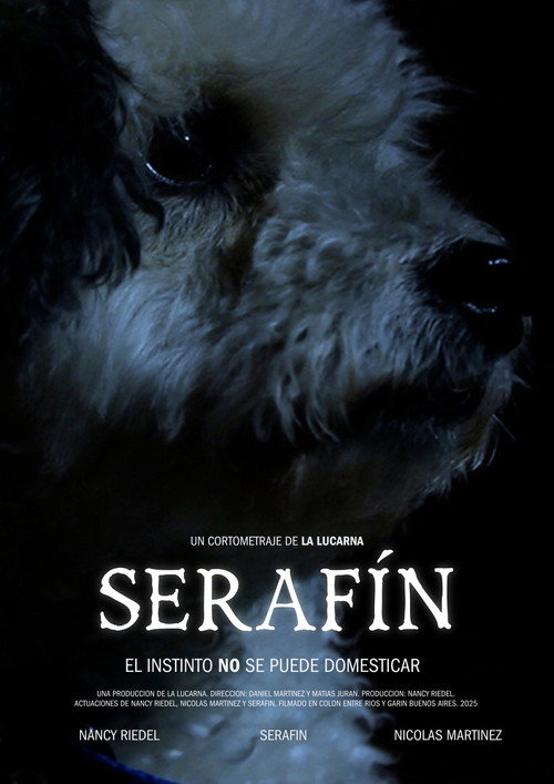 Serafín (2025) - film poster