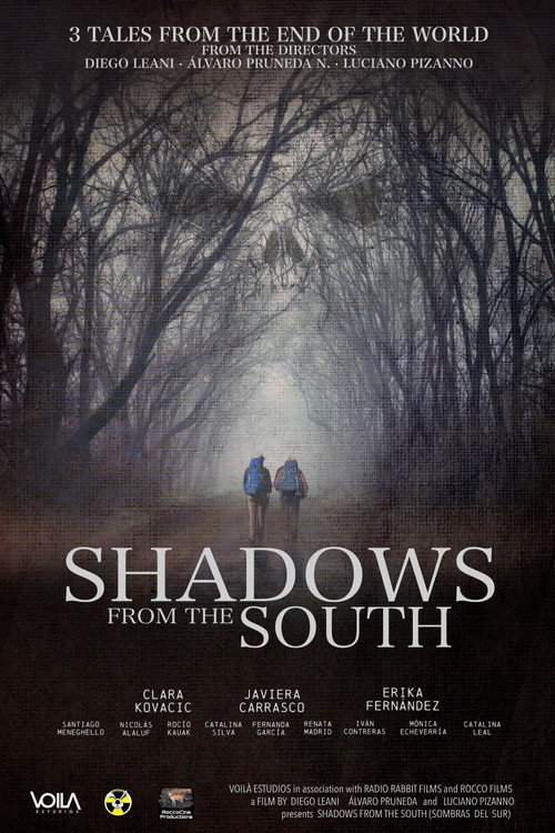 Shadows From The South (2026) - film poster