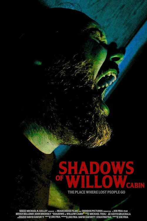 Shadows of Willow Cabin (2025) - film poster