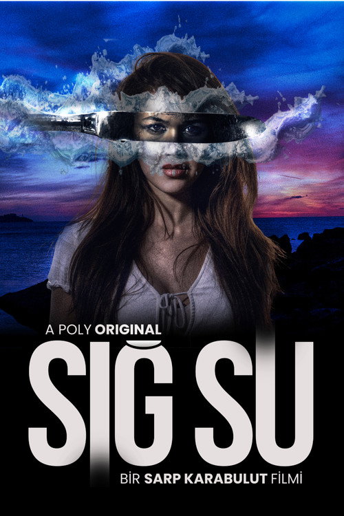Shallow Water (2026) - film poster