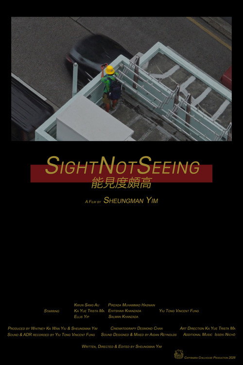 SightNotSeeing (2026) - film poster