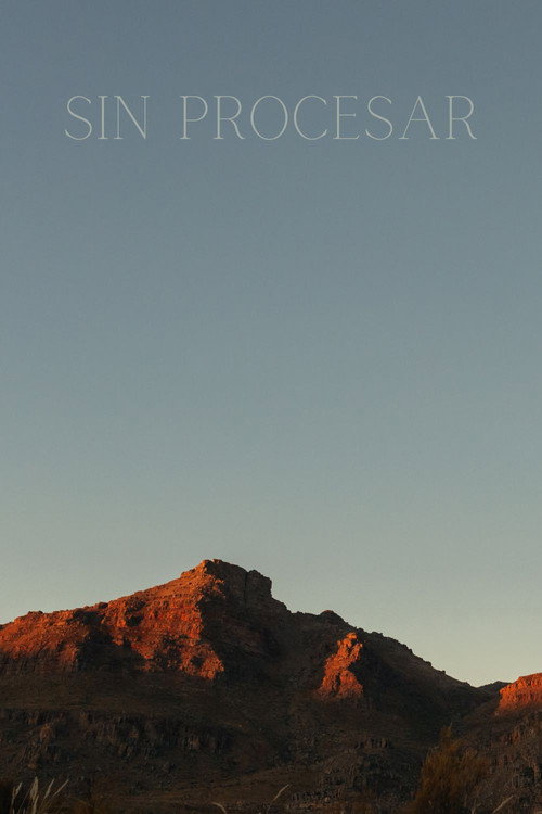 Sin Procesar (2025) - film poster