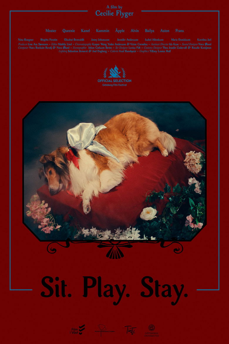 Sit. Play. Stay. (2024) — film poster, directed by Cecilie Flyger Hansen