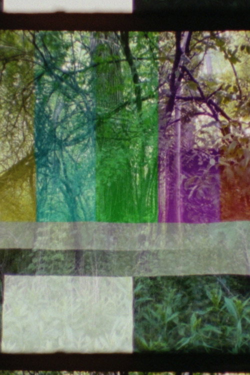 SMPTE FOREST (2023) — film poster, directed by Leonardo Pirondi