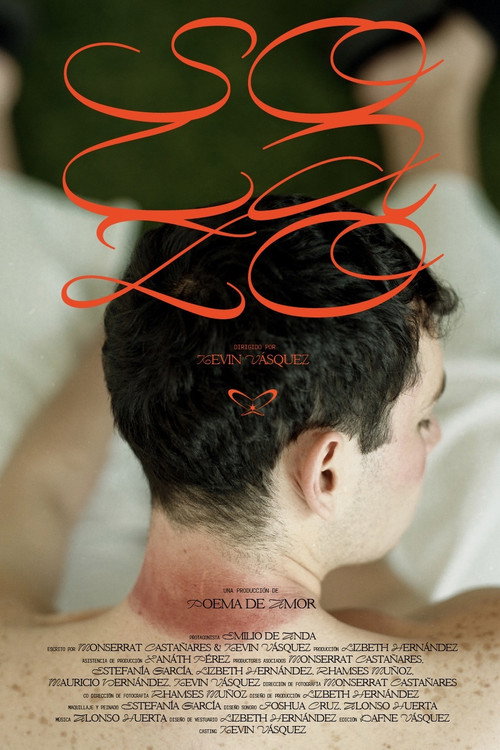 Solazo (2021) - film poster