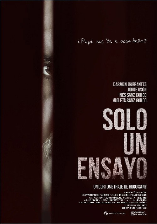 Solo un Ensayo