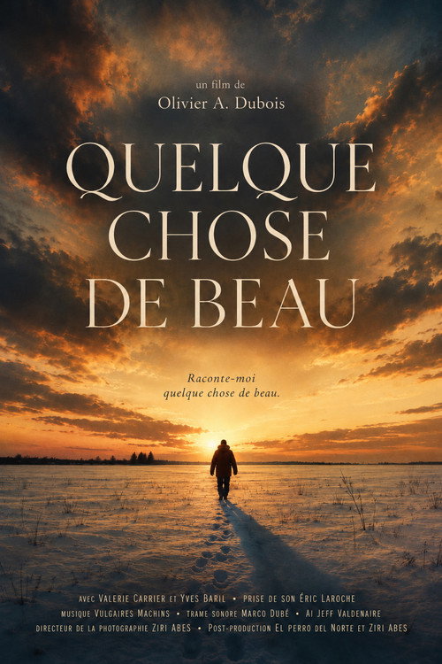 Something Beautiful - Quelque chose de beau (2026) - film poster