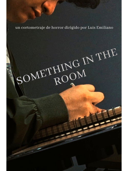 Something In The Room (2026) - film poster