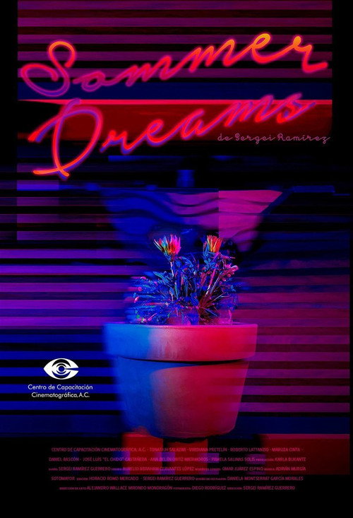 Sommer Dreams (2016) - film poster