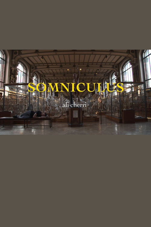 Somniculus
