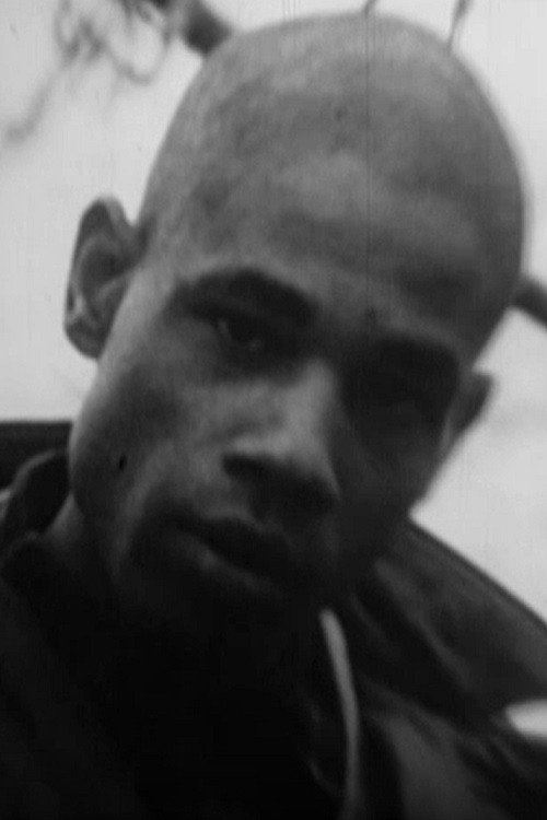 Sounding Glass (2011) — film poster, directed by Sylvia Schedelbauer