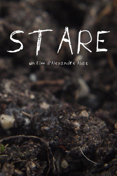 Stare (2026) - film poster