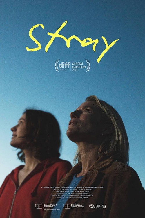 Stray (2025) — film poster, directed by Kim Bartley