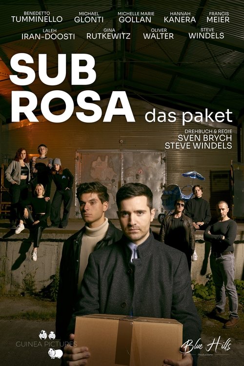 SubRosa - Das Paket (2024) - film poster, directed by Steve Windels
