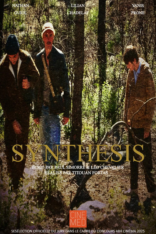 Synthesis (2025) - film poster