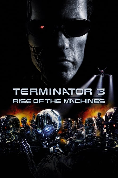 Terminator 3: Rise of the Machines (2003) - film poster