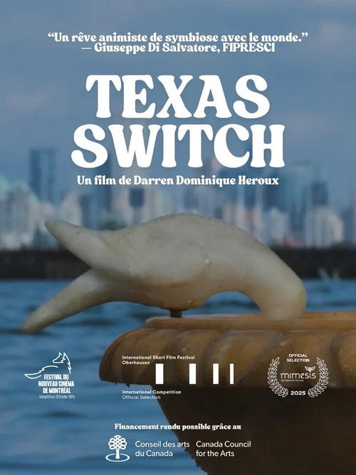 Texas Switch (2025) - film poster