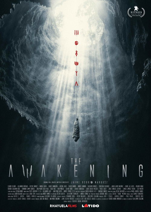 The Awakening (2026) — film poster