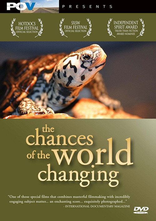 The Chances of the World Changing (2006) — film poster, directed by Eric Daniel Metzgar