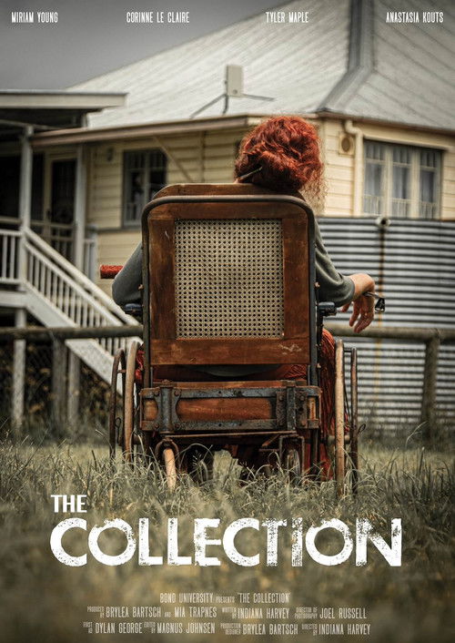 The Collection (2024) - film poster