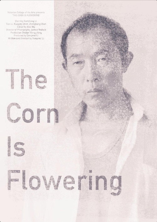 The Corn is Flowering (2015) — film poster, directed by Li Dongmei