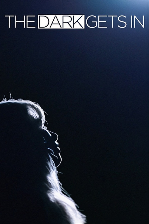 The Dark Gets In (2026) - film poster