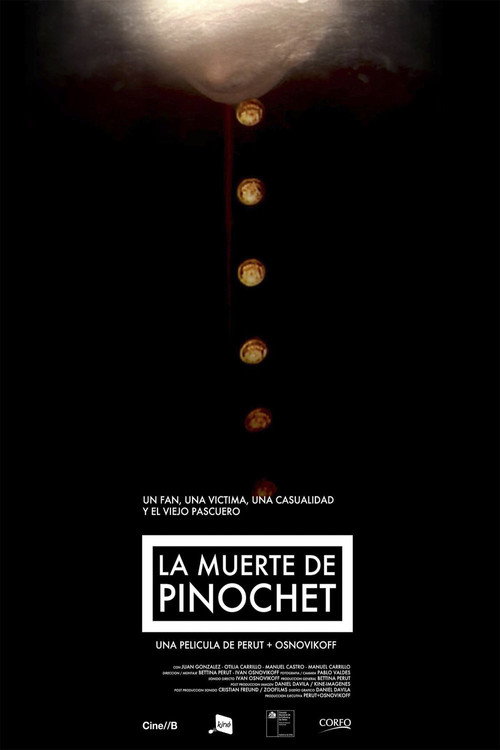 The Death of Pinochet (2011) — film poster, directed by Iván Osnovikoff