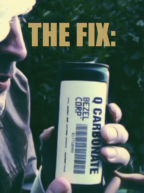 The Fix: (2011) - film poster